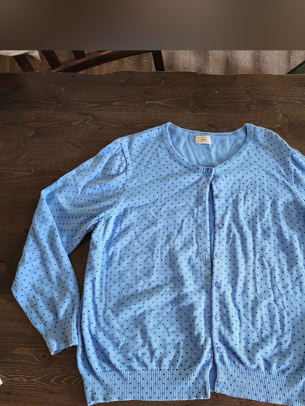 L.L. Bean Light Blue Polka Dot Cardigan